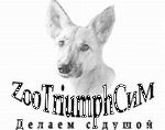 Дзен  амуниция для собак TriumphСиМ статистика