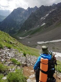 Дзен Поехали!  статистика