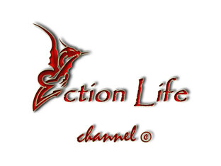Статистика яндекс дзен Action Life channel ©