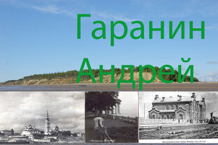 Дзен Андрей Гаранин статистика