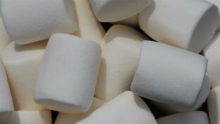 Дзен ZEFIR статистика