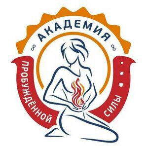 Статистика Дзен Академия Пробужденной Силы 