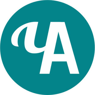Дзен Честный Автор статистика