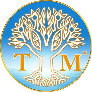 Статистика Дзен Трансцендентальная Медитация в России