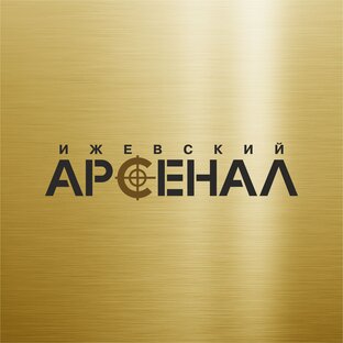 Дзен Ижевский Арсенал статистика