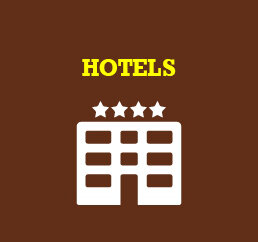 Дзен Hotels - отели и хостелы мира статистика