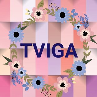 Дзен Tviga статистика