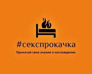 Дзен #секспрокачка статистика
