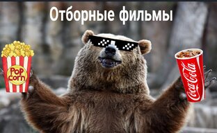 Дзен Отборные фильмы статистика
