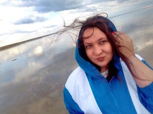 Дзен Открывая Волгоград статистика