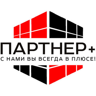 Статистика Дзен Партнер+