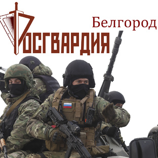 Дзен Росгвардия Белгородская область статистика