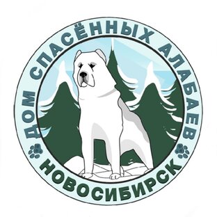 Логотип канала АНО "Сибирский Алабай"