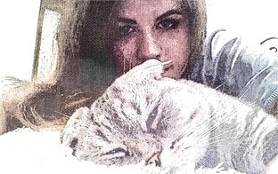 Дзен Ася Хорольская  статистика