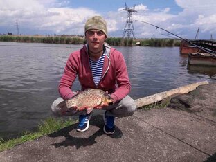 Дзен Рыбалка и самоделки для рыбалки статистика