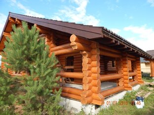 Статистика Дзен Плотник-ТЛТ