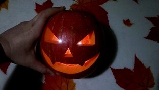 Логотип канала Обзоры. Рецепты. Кулинария. Выпечка. И многое другое!
