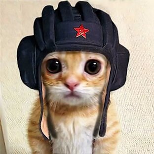 Дзен Весёлые картинки статистика