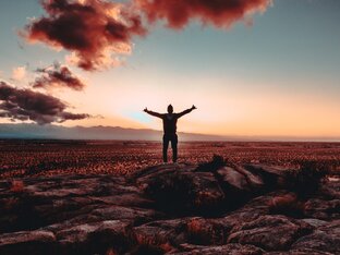 Дзен Журнал обо всем статистика