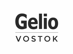 Статистика яндекс дзен Gelio Vostok