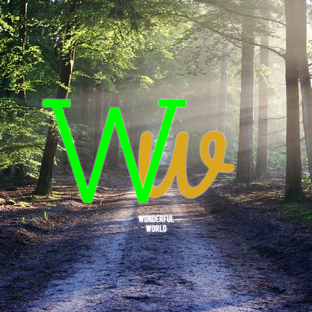 Дзен Wonderful world статистика