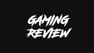 Дзен GAMING REVIEW статистика