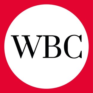 Статистика Дзен WBCMedia
