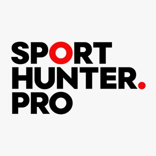 Статистика Дзен SportHunter. Работа в спорте