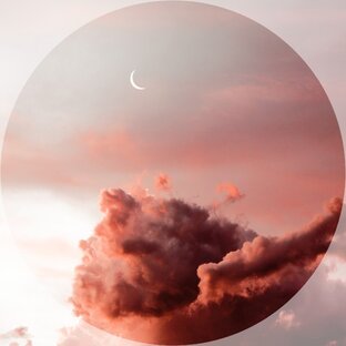 Дзен Marica Channel статистика