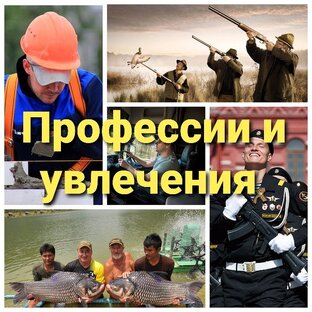 Дзен Профессии и увлечения статистика