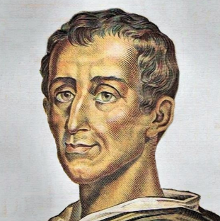 Дзен Право в законе статистика