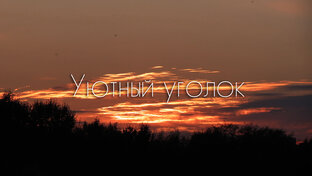Статистика Дзен Уютный уголок