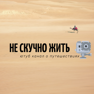 Дзен Не скучно жить статистика