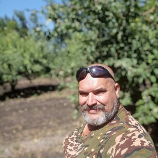 Дзен Александр М. статистика