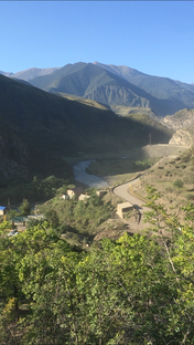 Дзен Саид Магомедов статистика