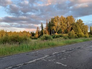 Статистика Дзен Таня Гор Дневник