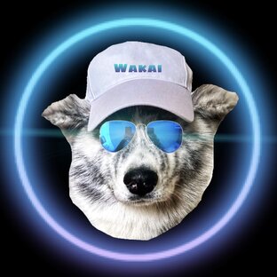 Логотип канала Wakai Akita