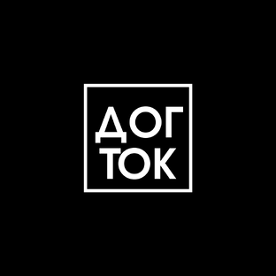 Дзен Дог-Ток статистика