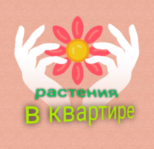 Канал цветок