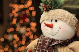 Дзен Никита Norman статистика