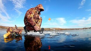 Статистика Дзен Рыбалка с Денчиком