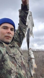 Статистика Дзен ВСЕ на Рыбалку