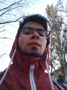 Дзен Артем Руденко статистика