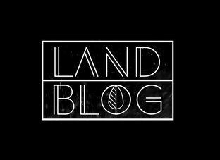 Статистика Дзен Land Blog