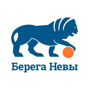 Статистика Дзен Берега Невы