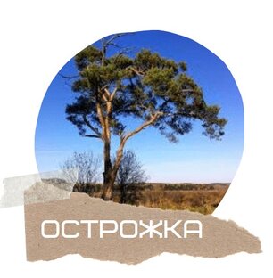 Статистика Дзен Наша родина здесь, у Очера - реки.