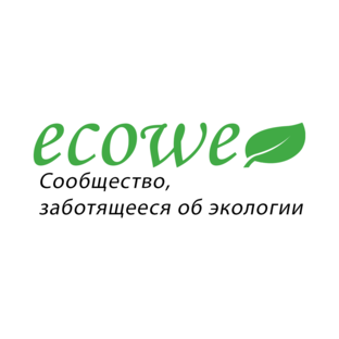 Статистика Дзен Ecowe