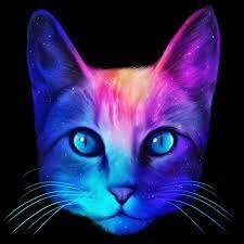 Дзен Дмитрий Горин статистика