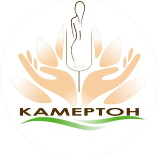 Статистика Дзен СПА НА КРЫШЕ КАМЕРТОН