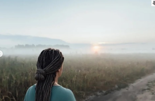 Дзен Мария Полисад статистика